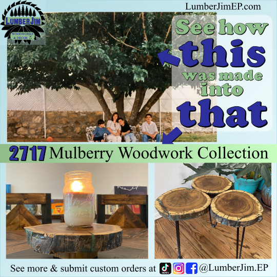 2717 Mulberry tree collection