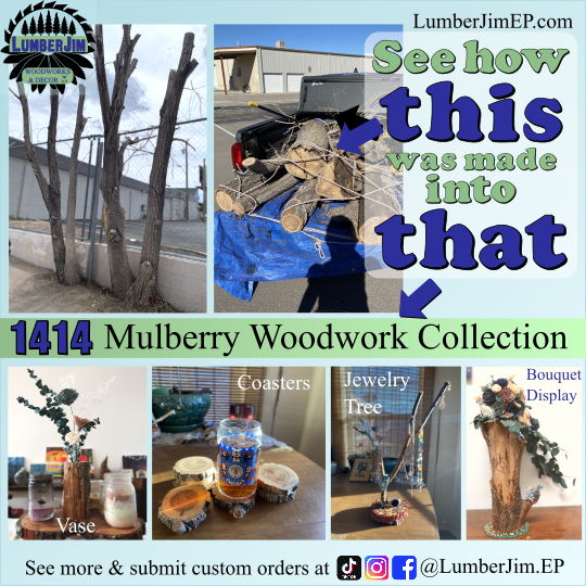 1414 Mulberry tree collection