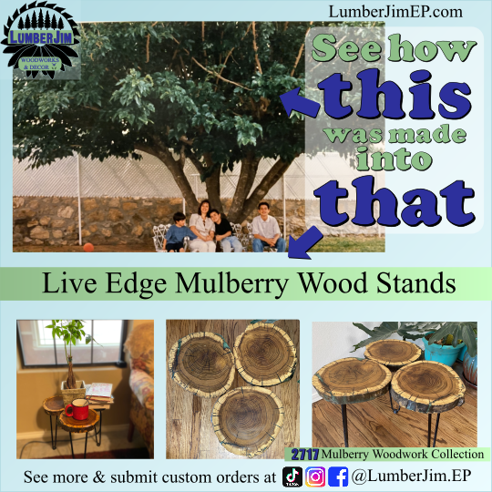 Live Edge Mulberry Wood Stands