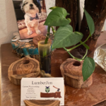 Mulberry Wood Cardholder Plantstands
